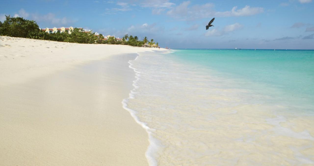 Buddha Studios Aruba Palm Beach Eksteriør bilde
